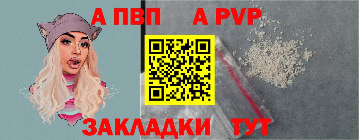 Альфа ПВП СК КРИС Шахты