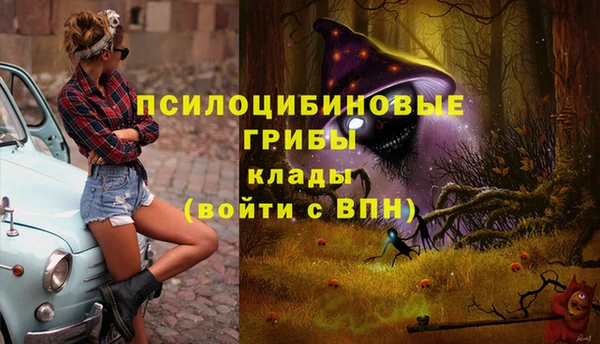 круглые Нефтегорск