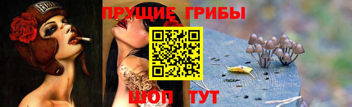 Галлюциногенные грибы Psilocybe Шахты